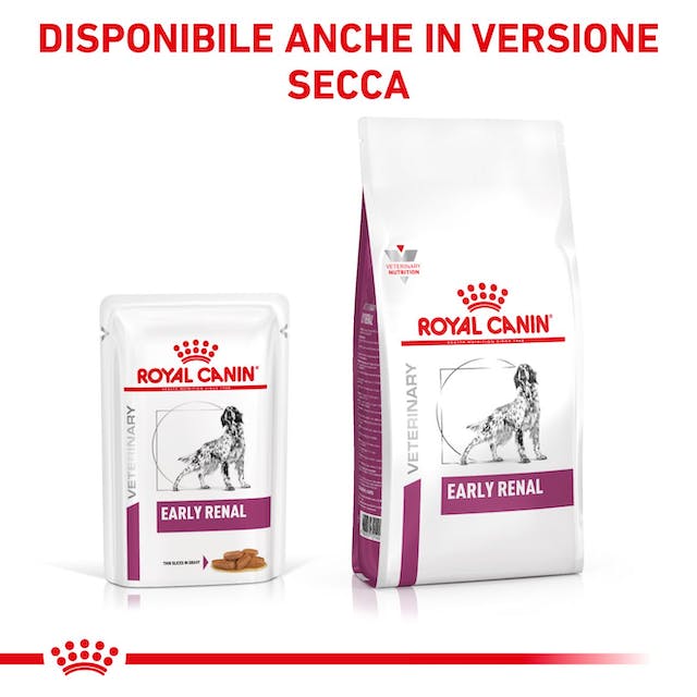 Royal Canin Early Renal - Straccetti in Salsa per Cane 12x100gr Royal Canin Early Renal - Straccetti in Salsa per Cane 12x100gr